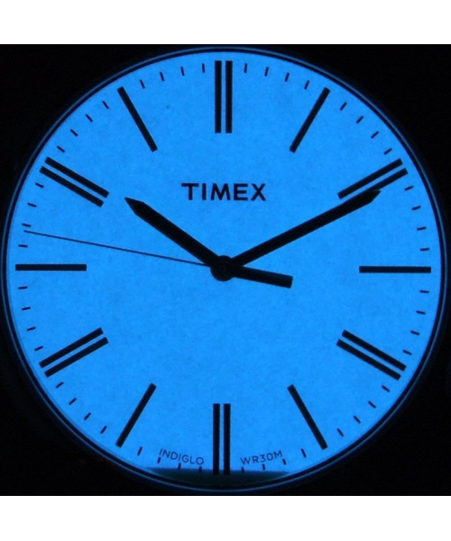  Timex T2P237 #4