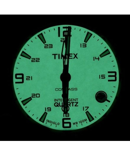  Timex T2P285 #6