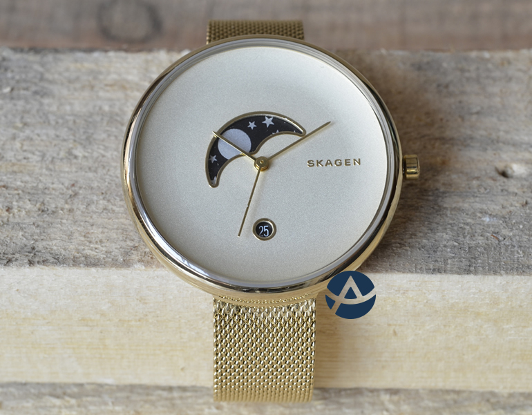 ���� �������� Skagen SKW2373