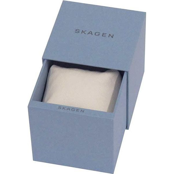 �������� � "Skagen" 886SBLB