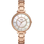 "Fossil" ES4452