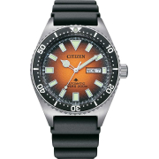"Citizen" NY0120-01Z