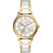 "Fossil" CE1131