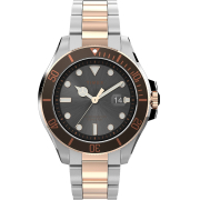 "Timex" TW2V42100