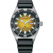 "Citizen" NY0120-01X