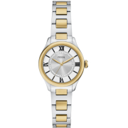 "Fossil" ES5422