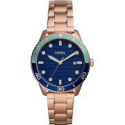 "Fossil" BQ3599