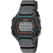 "Casio" DW-290-1V
