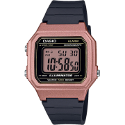 "Casio" W-217HM-5A