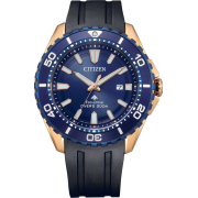 "Citizen" BN0196-01L