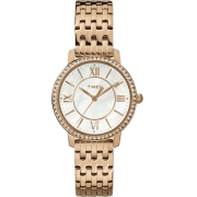 "Timex" TW2P80700
