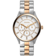 "Fossil" BQ1564