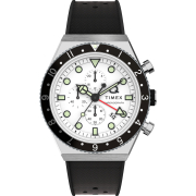 "Timex" TW2V70100