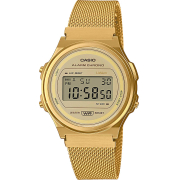 "Casio" A171WEMG-9A