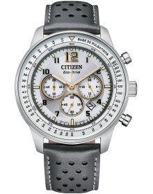 "Citizen" CA4500-24H