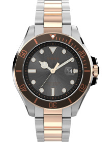Timex TW2V42100