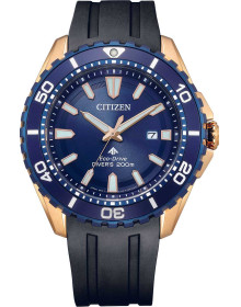 "Citizen" BN0196-01L