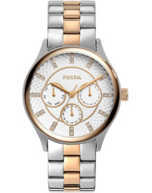 "Fossil" BQ1564
