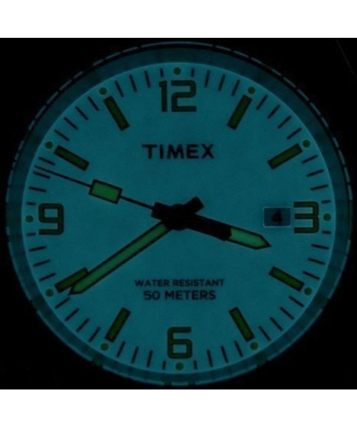  ������ Timex T2P007 (������) #5