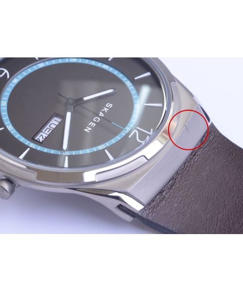  ������ Skagen SKW6305 (������) #2