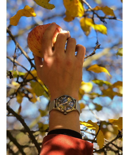 ���� Greenwich GW 051.19.34 #5