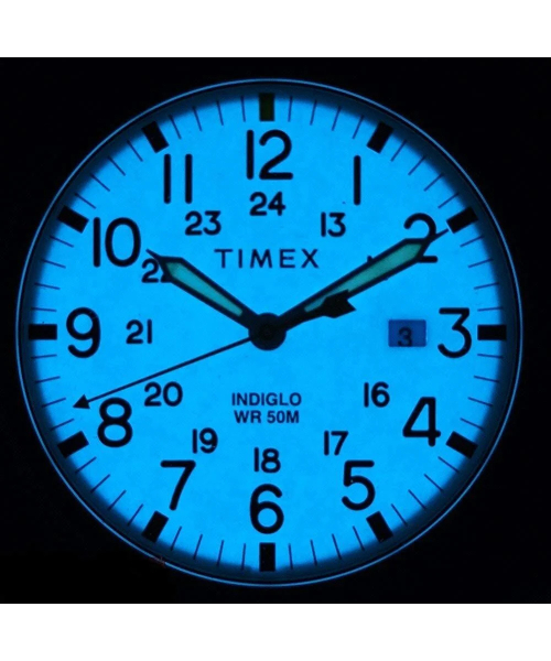 ���� Timex TW2R46200 #4