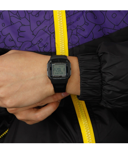 ���� Casio Collection DB-36-1A #2