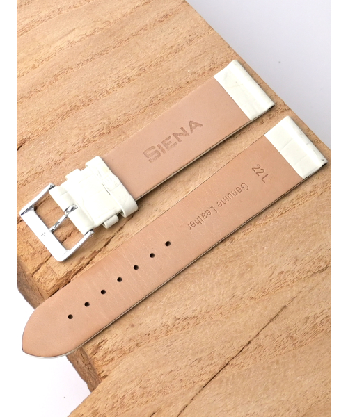 �. Siena 530-2211 #2