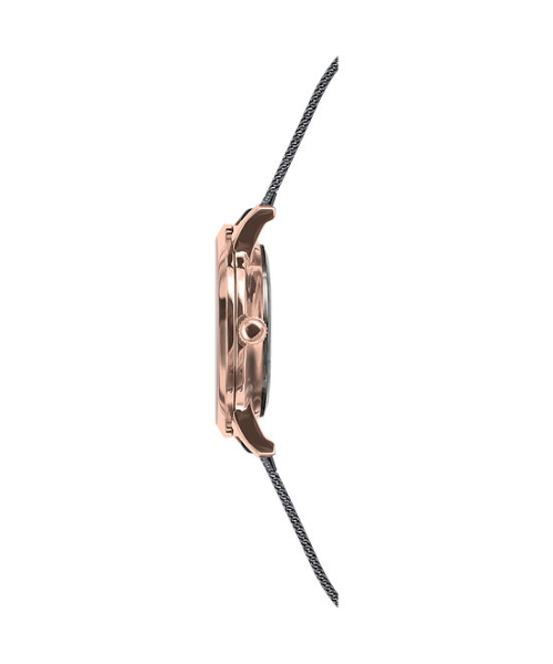���� 33 Element 331717 #2
