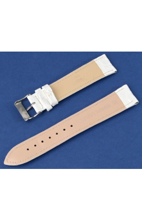 Nagata N-2020