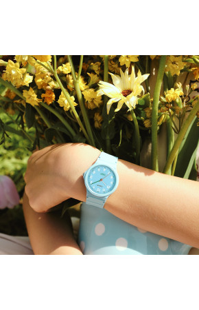 Casio LQ-24B-2B