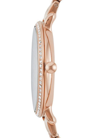 Fossil ES3546